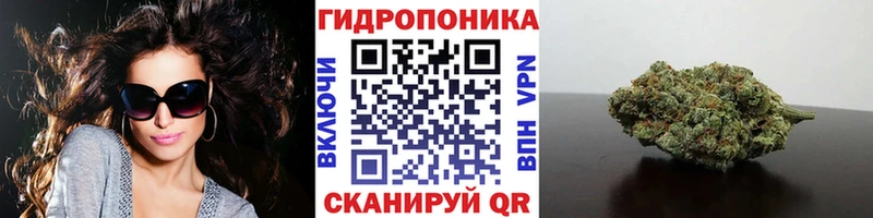 Бошки Шишки тримм  Суздаль 